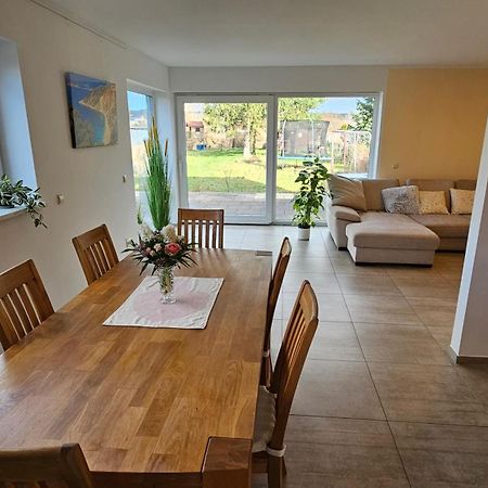 Sehr Schoenes Und Grosses Haus In Dresden - Partys Und Andere Feierlichkeiten Sind Wegen Eventueller Laermbelaestigung Nicht Gestattet מראה חיצוני תמונה
